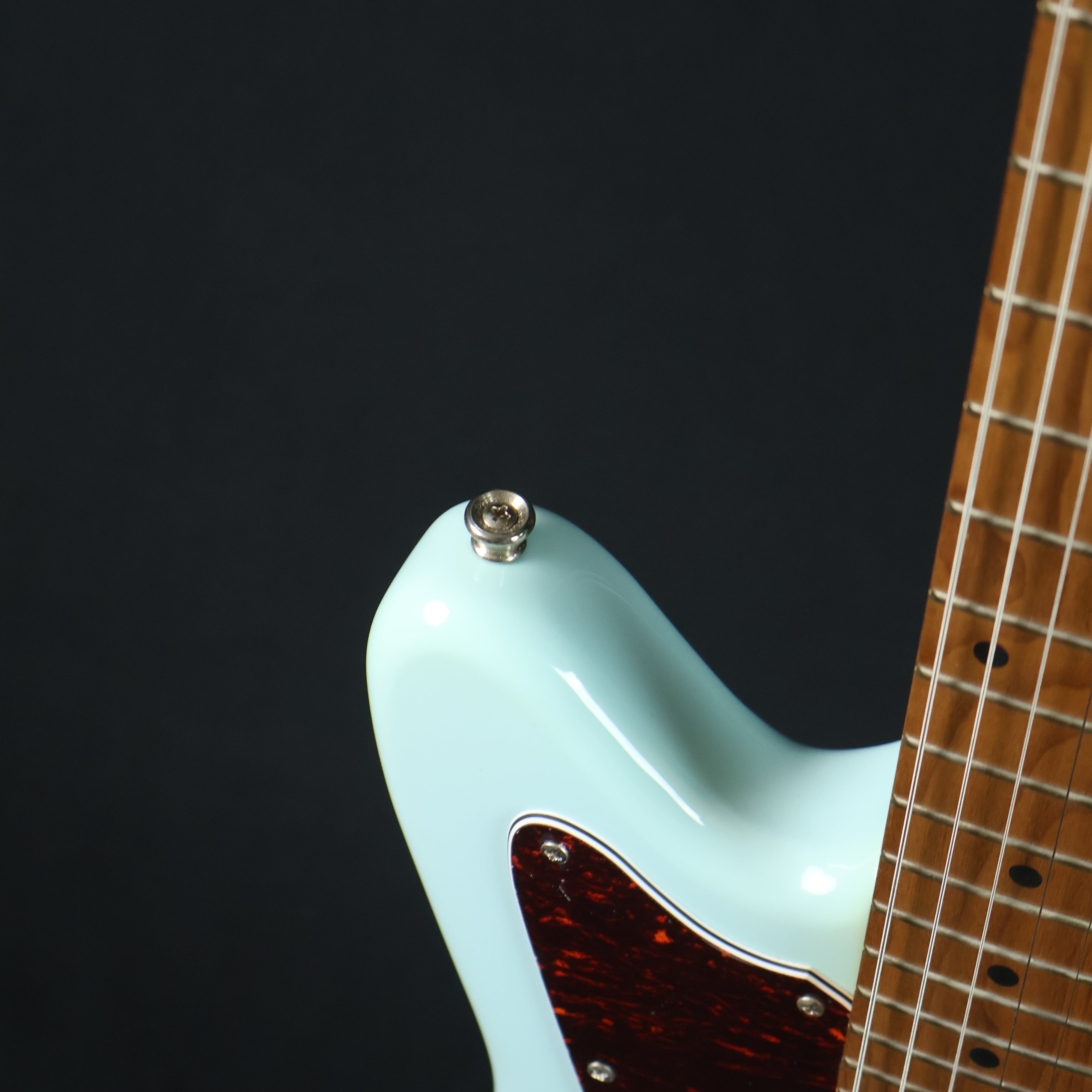 Bacchus BJM-1-RSM/M Roasted Maple Fretboard, Jazzmaster Electric