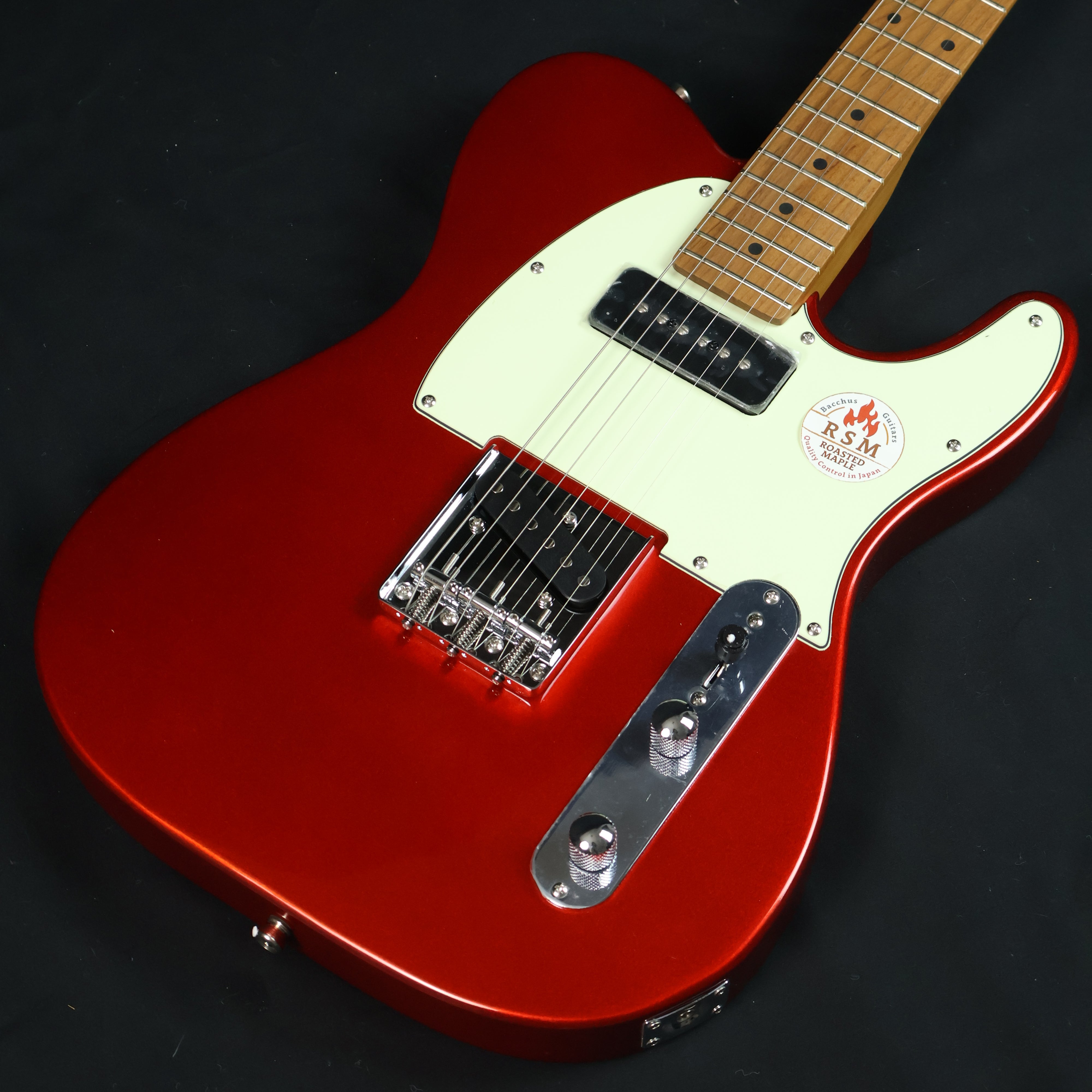 Bacchus BTE-2-RSM/M Roasted Maple Fretboard, Telecaster Electric