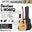 Deviser 41 inch Semi Acoustic Guitar with EQ / Pick Up (L-806 / L806 / L806EQ)