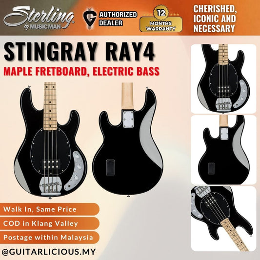 Sterling By Music Man StingRay RAY4 Electric Bass Guitar with Maple Fretboard