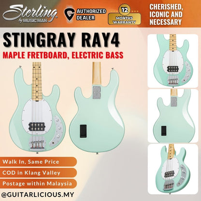 Sterling By Music Man StingRay RAY4 Electric Bass Guitar with Maple Fretboard