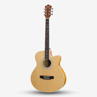 TAYSTE 40 inch Acoustic Guitar with Bag (T404)