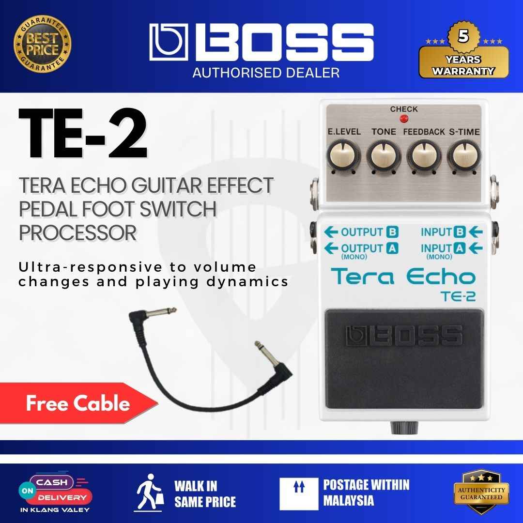 Boss TE-2 Tera Echo Guitar Effect Pedal Foot Switch Processor