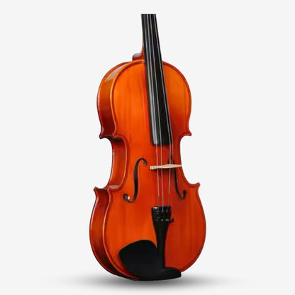 V30 Series Beginner Standard Violin Set - Maple Body with Spruce top, Tiger Stripes ( Biola V-30 / V 30 RCStromm)