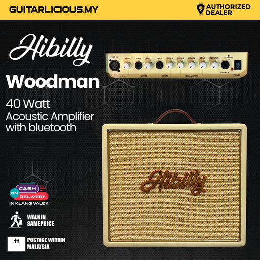 Hibilly Woodman 40 Watt Acoustic Amplifier with Microphone Input, Chorus, Phase and Bluetooth