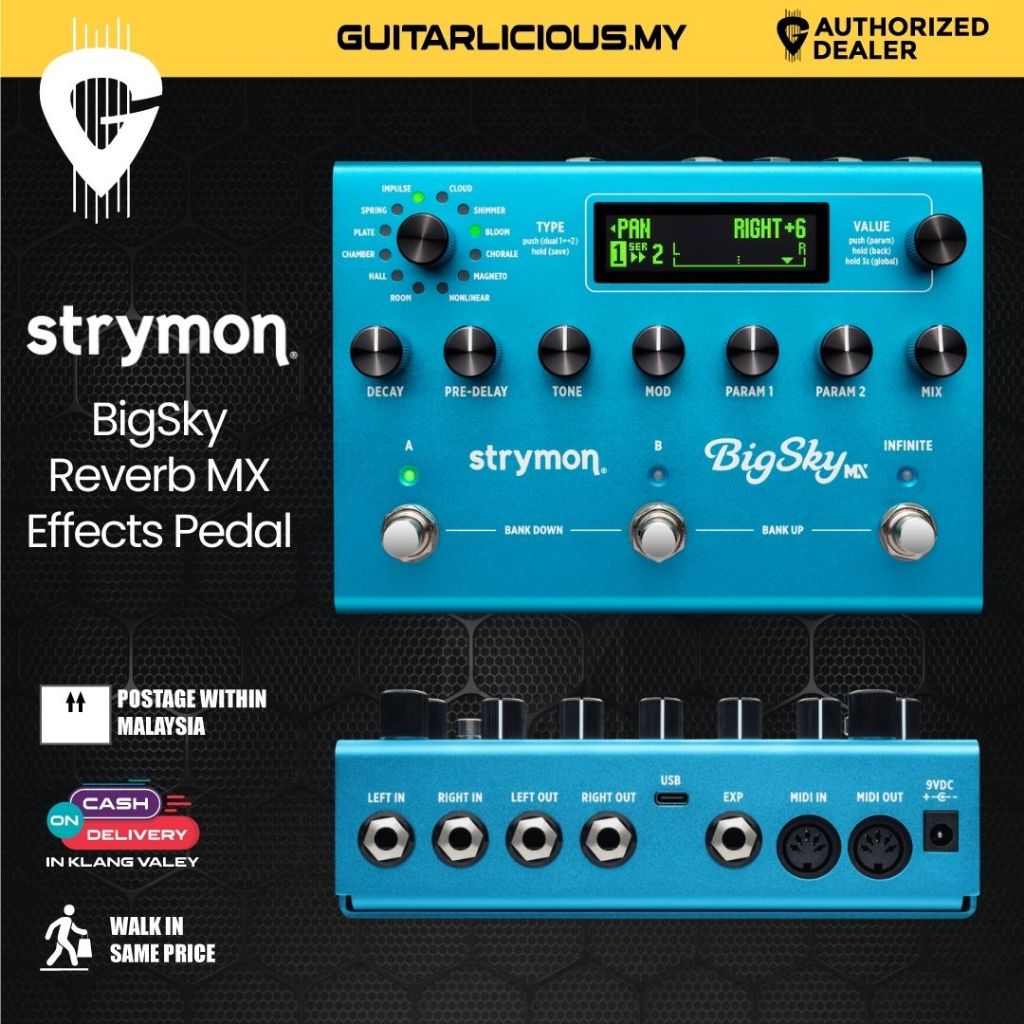 Shop By Instruments – Page 11 – GUITARLICIOUS