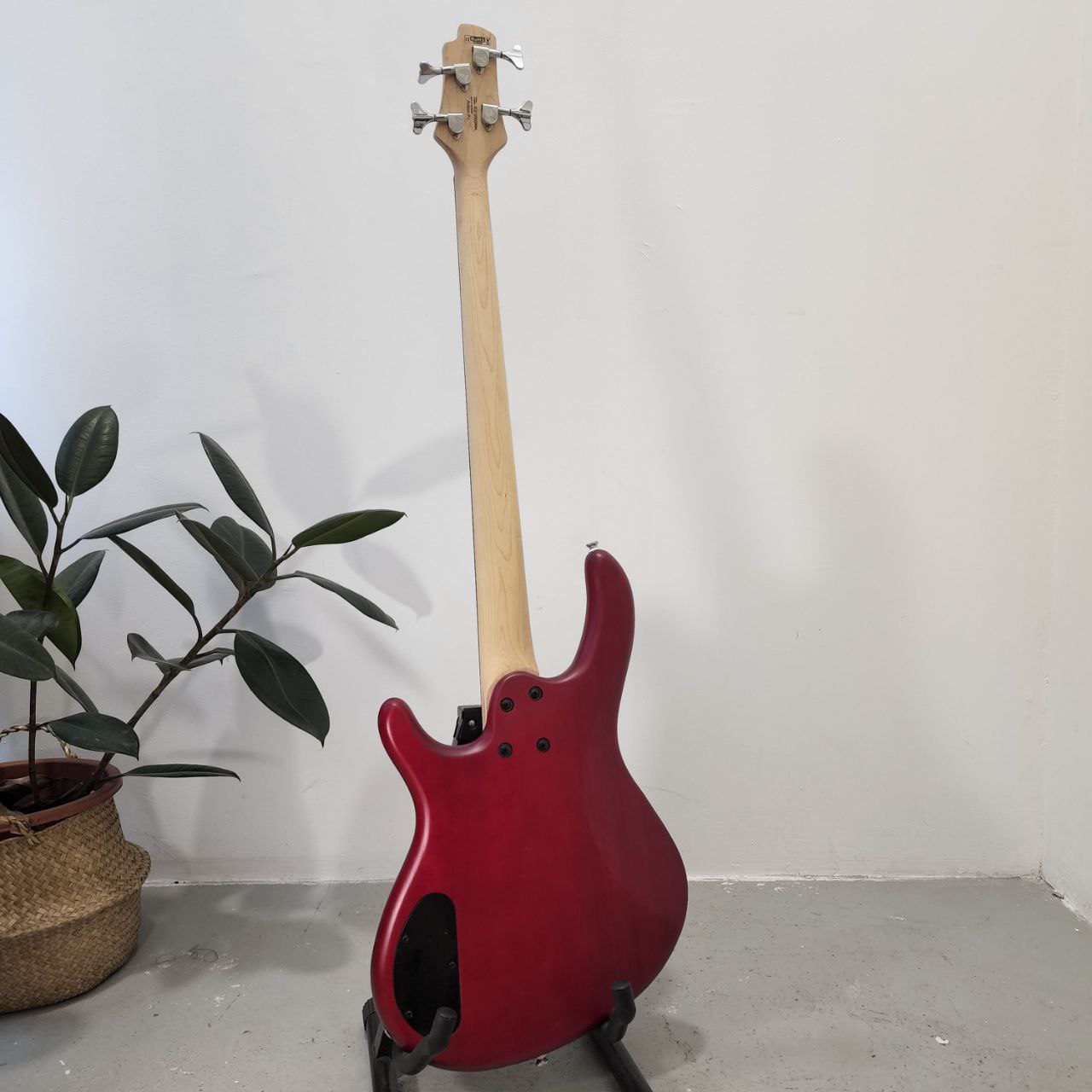 CORT Action PJ (4 String) Electric Bass Guitar, Open Pore Black