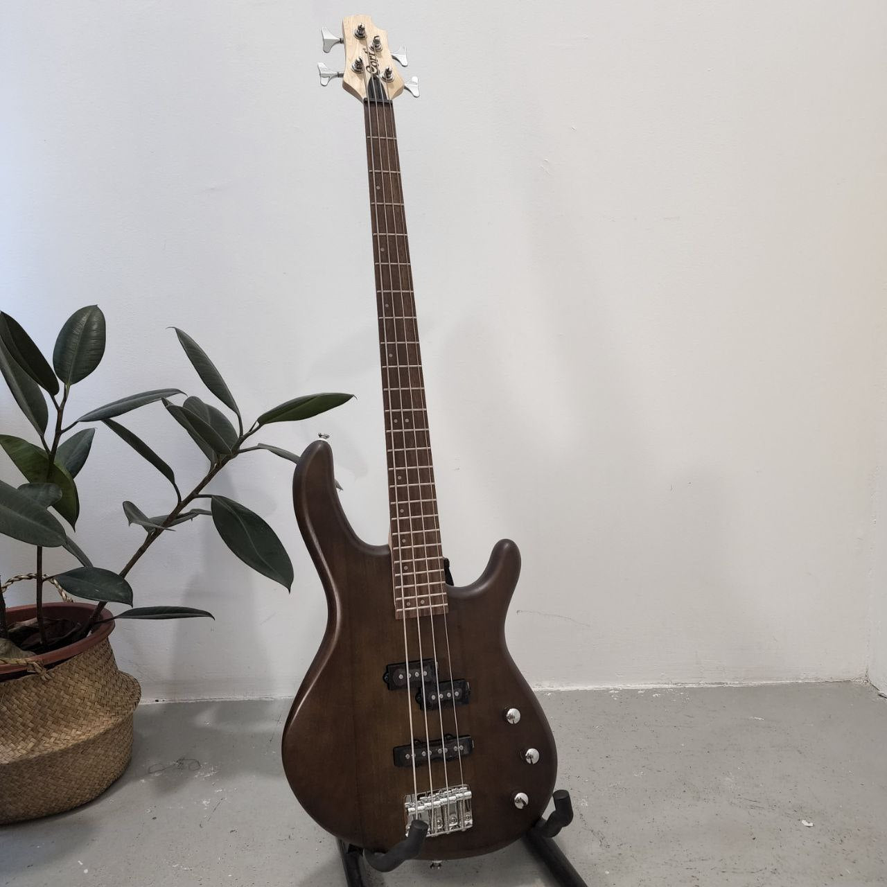 CORT Action PJ (4 String) Electric Bass Guitar, Open Pore Walnut