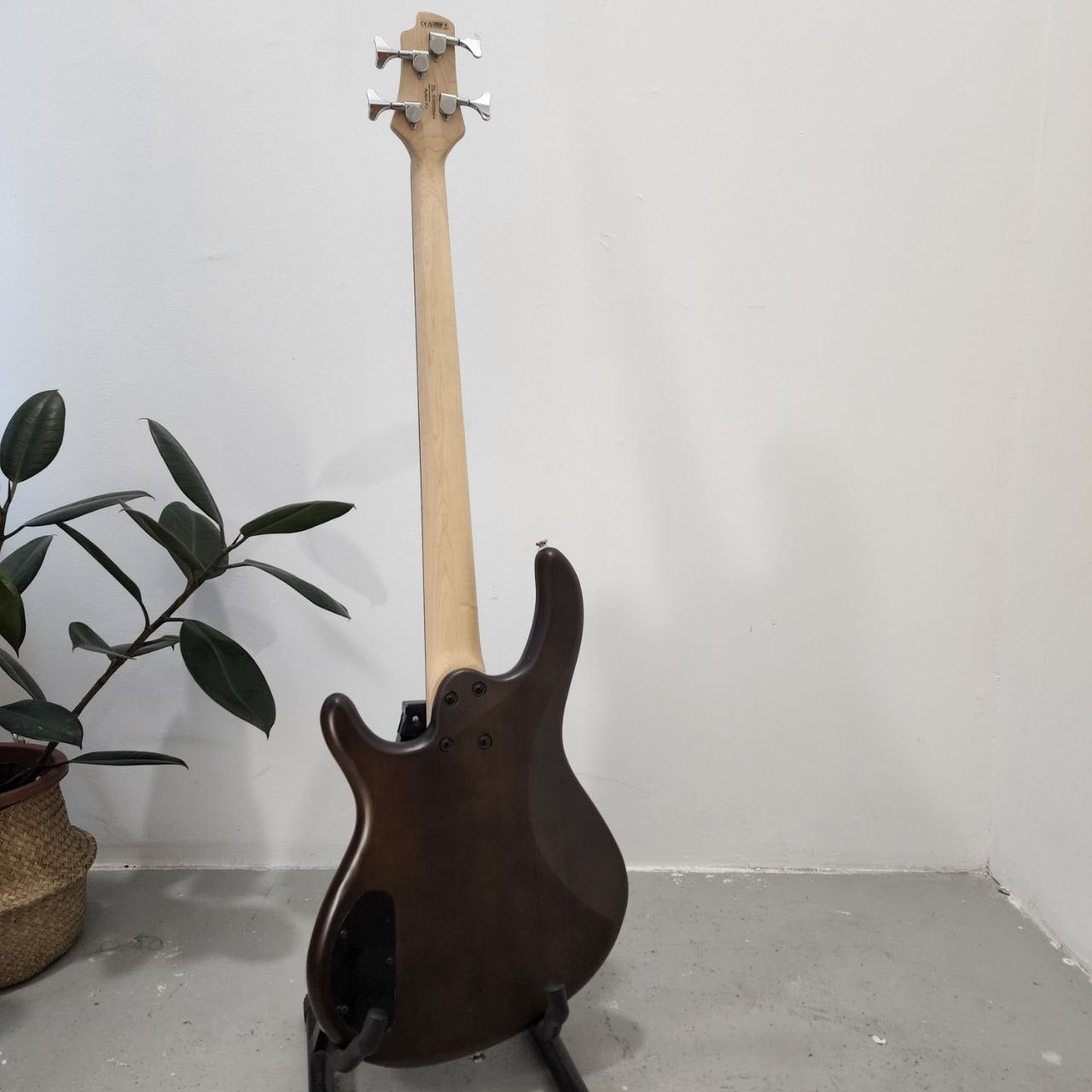 CORT Action PJ (4 String) Electric Bass Guitar, Open Pore Walnut
