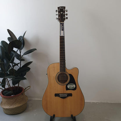 Ibanez AW70ECE Acoustic Guitar with 4 band EQ - Natural (AW70ECE)