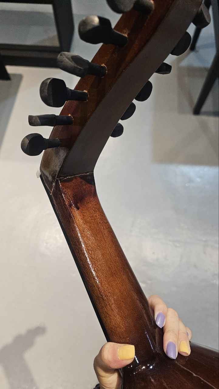 Traditional 12 String Gambus / Oud with Padded Bag (Made in Indonesia) w Pickup -B-STOCK