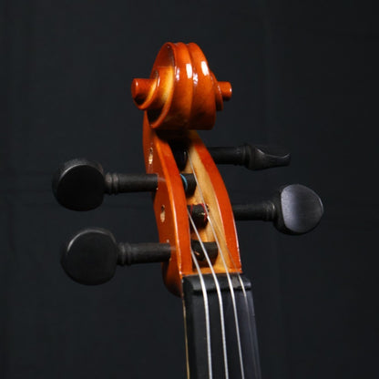 RCStromm Violin TXV Series w Pick Up - with Gloss Finish (Top Spruce, Side and Back Maple)