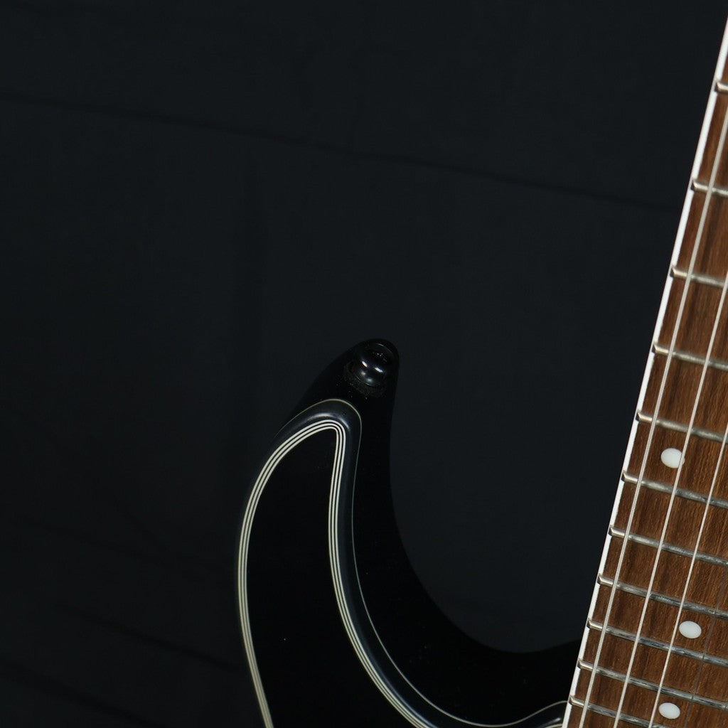 Ibanez RG421EX Humbucker Electric Guitar - Black Flat – GUITARLICIOUS